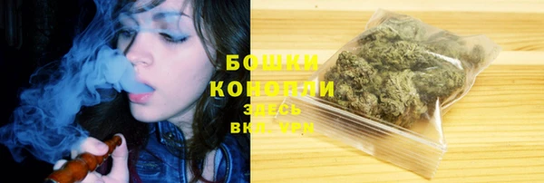 ГАЛЛЮЦИНОГЕННЫЕ ГРИБЫ Осташков