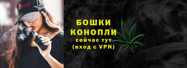 spice Абаза