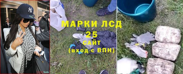 ПСИЛОЦИБИНОВЫЕ ГРИБЫ Остров