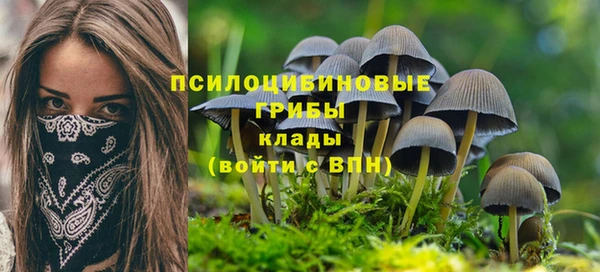 ПСИЛОЦИБИНОВЫЕ ГРИБЫ Остров