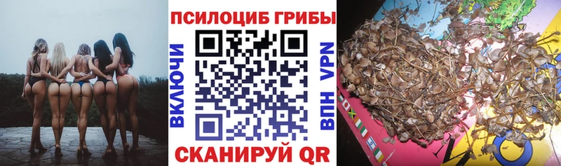 Галлюциногенные грибы Cubensis Щёкино